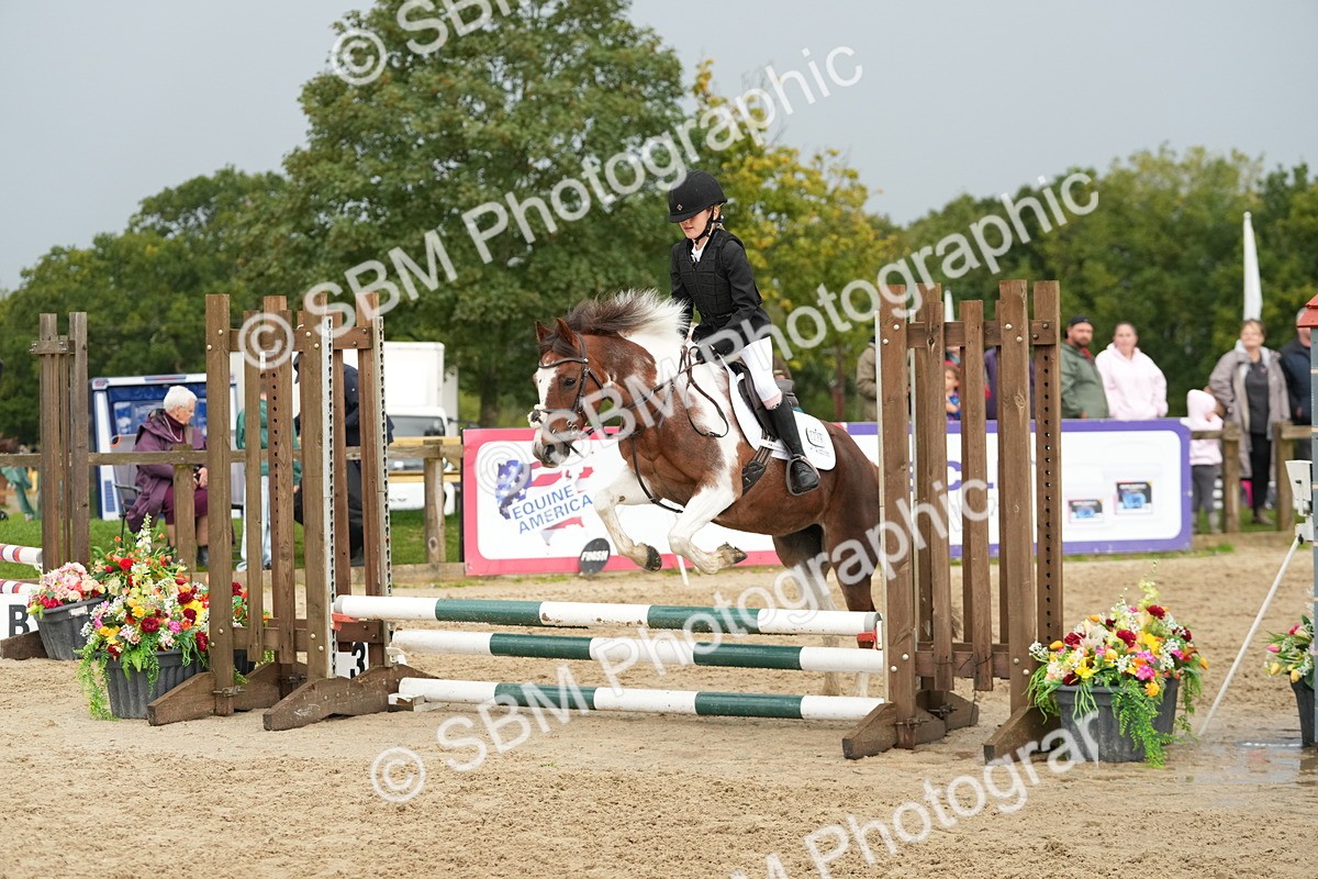 SBM_33463 - J5 - Junior Pony 50cm Championship