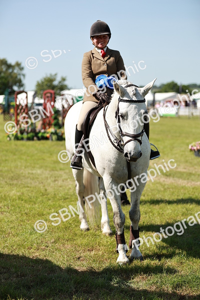 SBM_18554 - Class 112-113 - BSPS LIHS Working Sports Pony