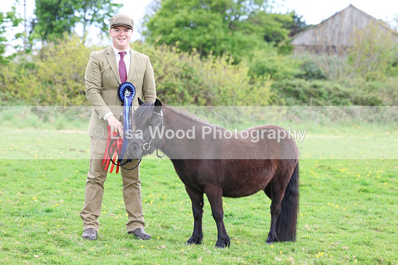 3E7A0933 - In Hand Championship