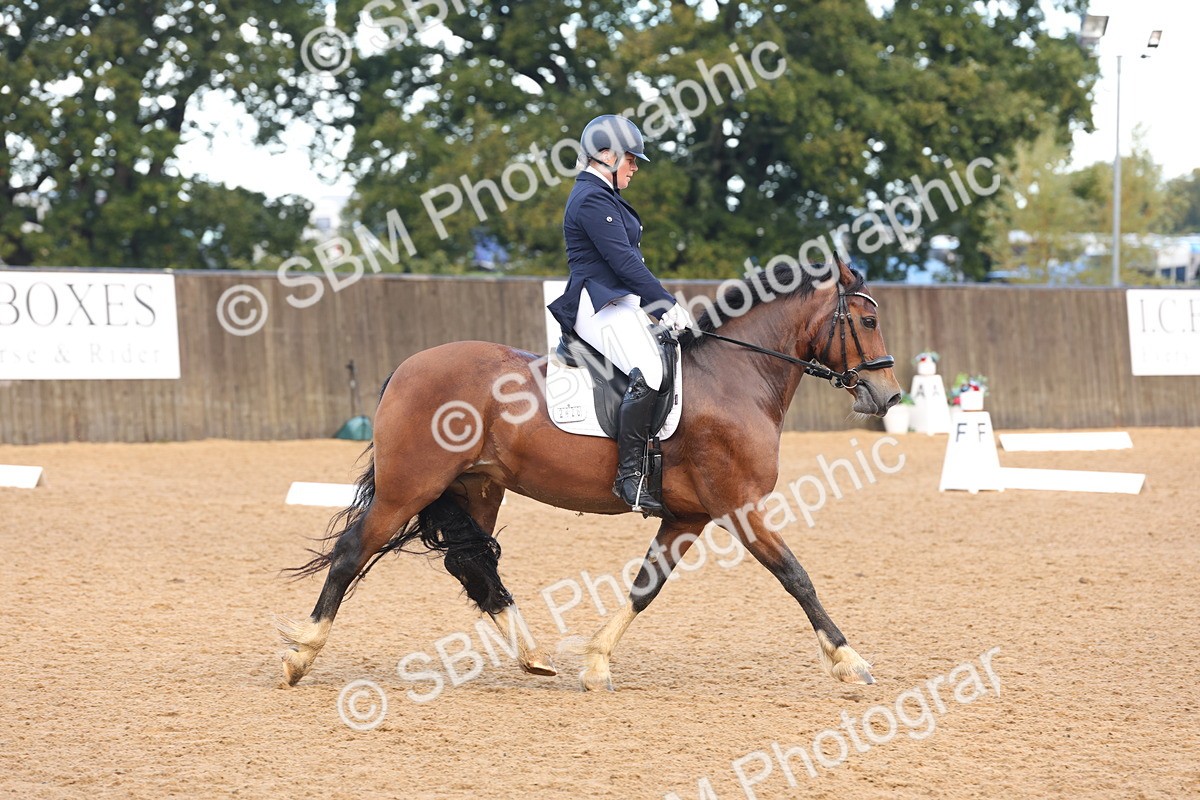 SBM_36756 - D18 - Grand Tour Championship Novice 2