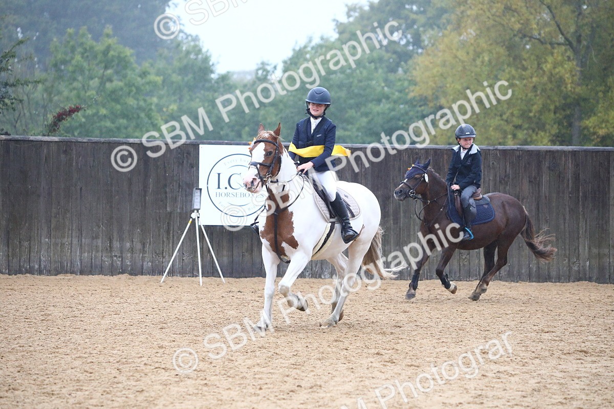 SBM_71900 - J4 - Mini Tour Junior Pony 45cm Championship