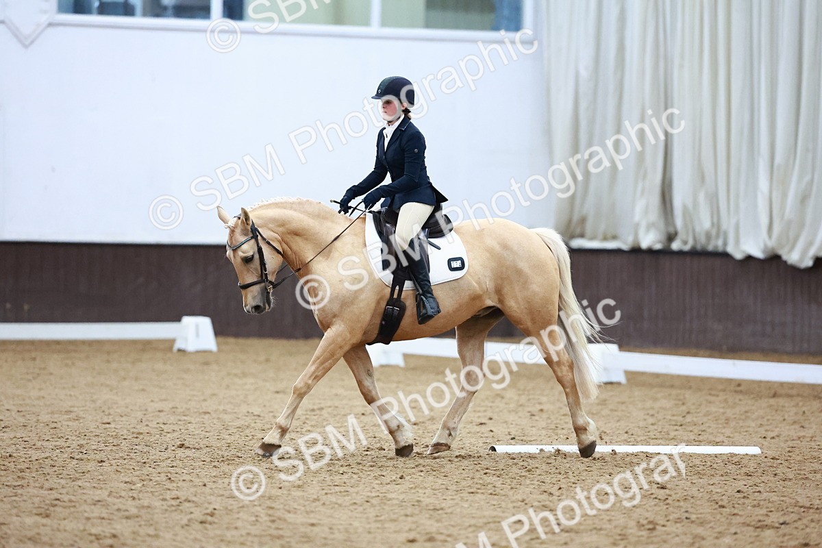 0B8A8306 - Class 5 - Novice 2