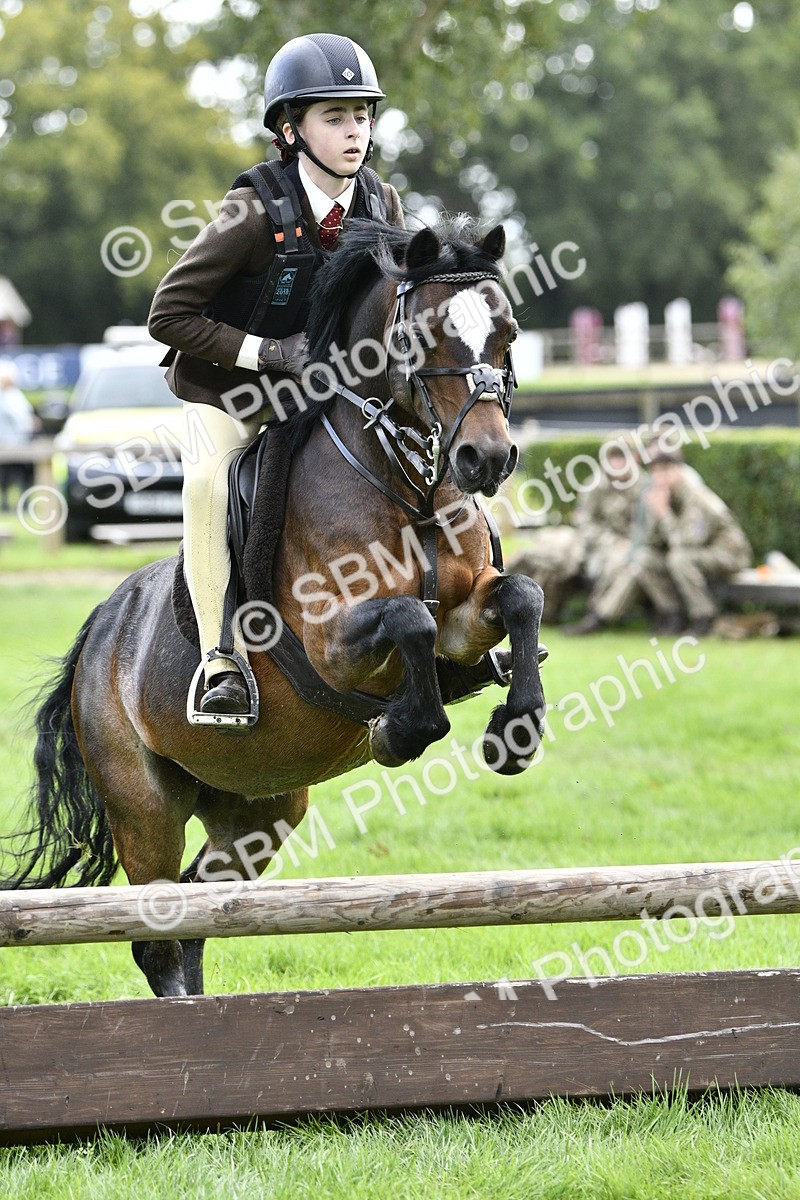 SBM_41270 - S32 - Mountain & Moorland Working Hunter Pony