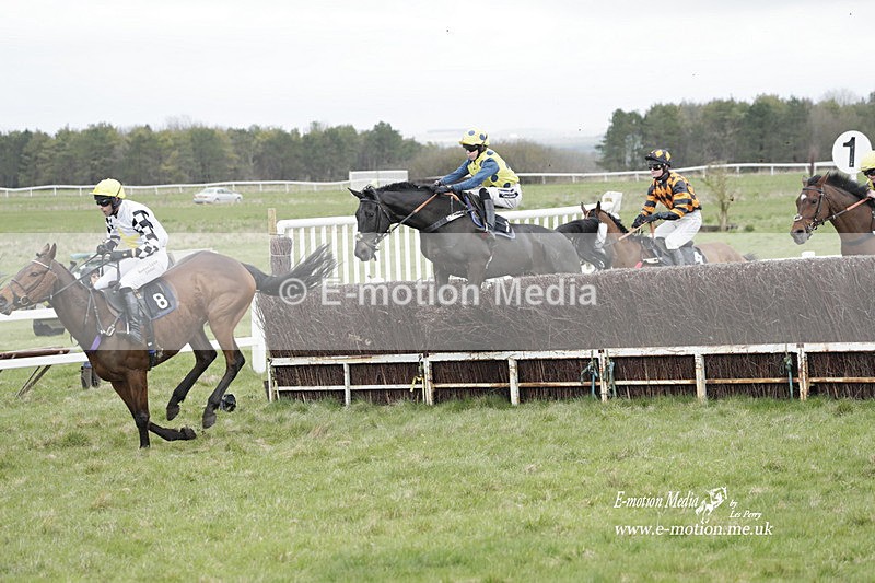 PtP 260323 0807 - New Forest Hounds Point-to-Point Larkhill 26/03/23