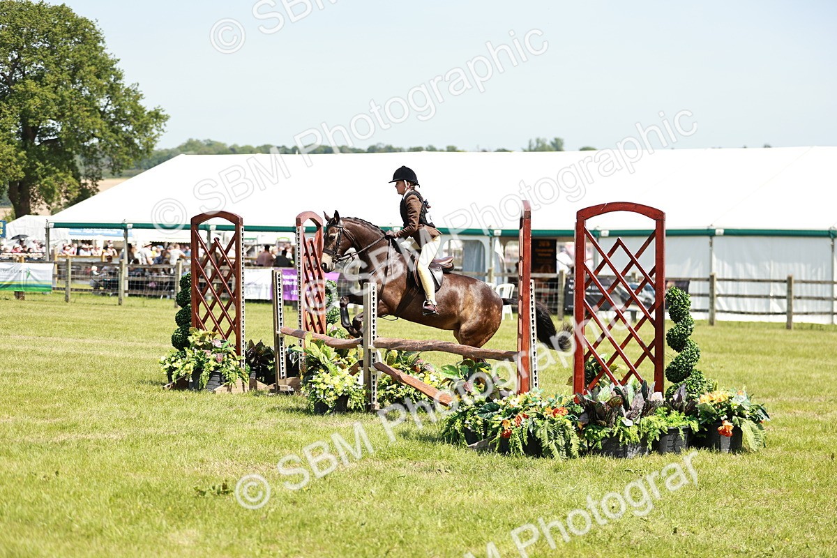 SBM_15452 - Class 108-109 - BSPS LIHS Open Gradle & Nursery Stakes