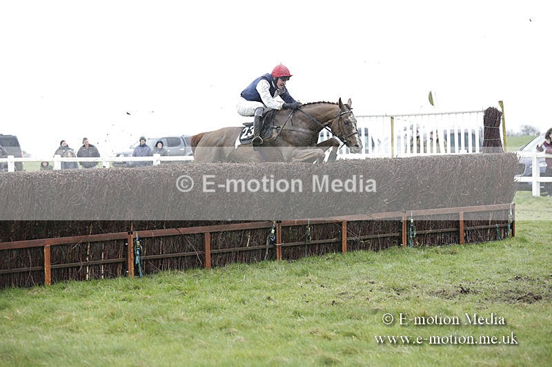PtP 150320 0344 - New Forest Point-to-Point Larkhill 15/03/20