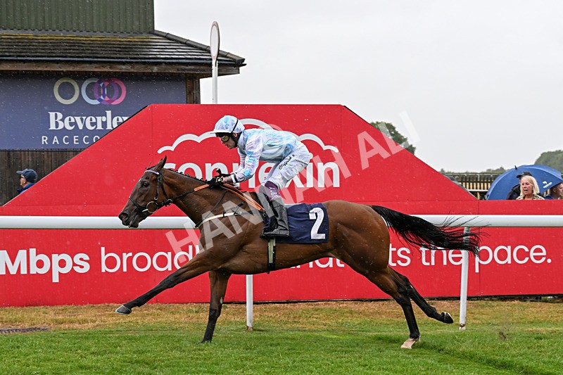 150725-Race 2-Pearl Fortune-0199 - Race 2