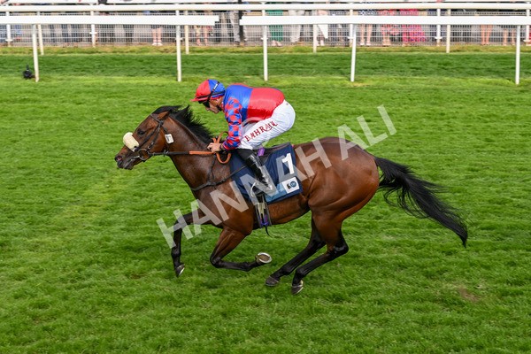 160524-Race 5-Big Evs-6348 - Race 5 4.15pm  British Stallion Studs EBF Westow Stakes