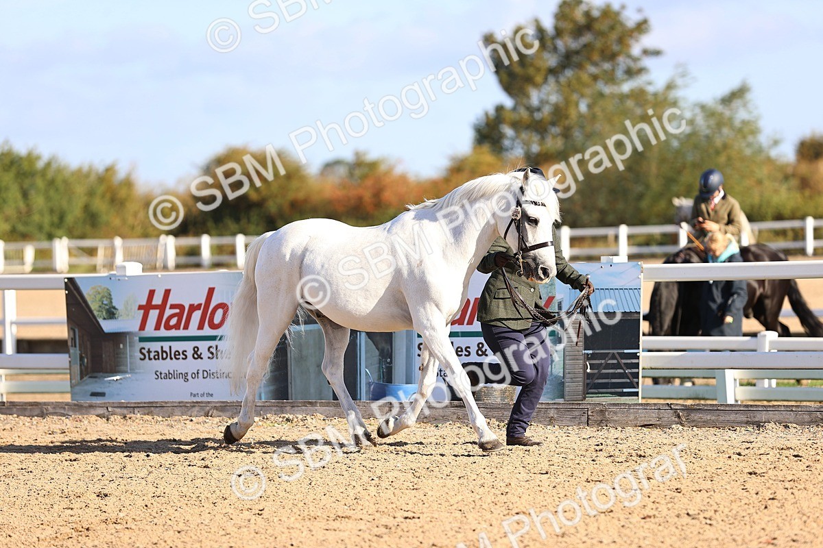 SBM_08425 - Class 402 - IH Veteran Pony