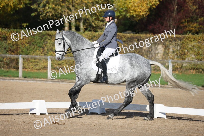 20251102-1170 - Class 6 - Elementary 6