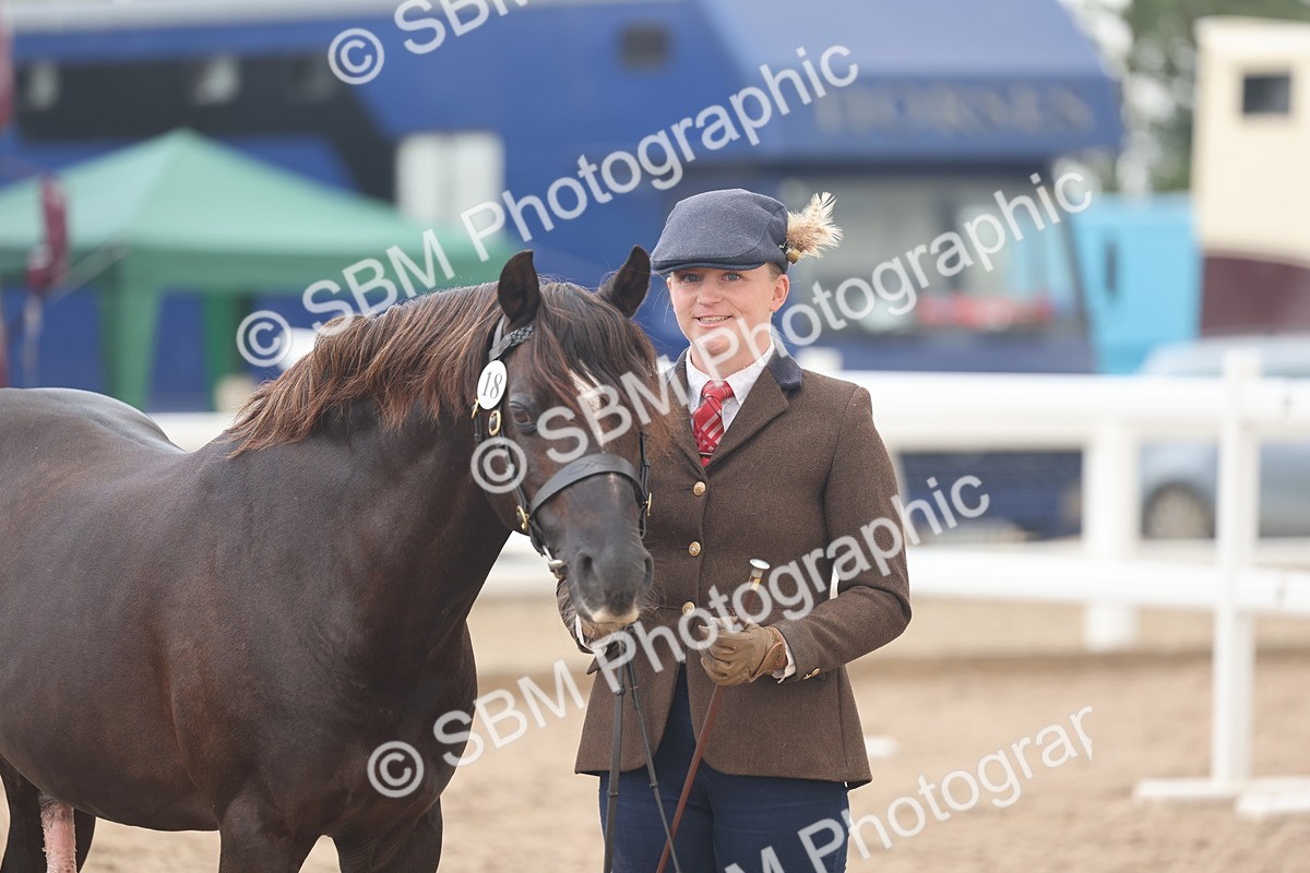 SBM_03281 - Class 16 - IH M&M Wildcard