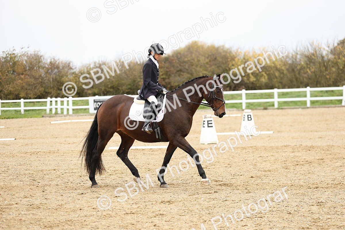 SBM_002991 - Class 8 - Novice 1