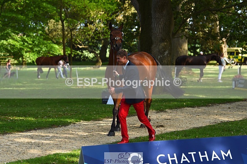 230524-170934-01312 - 173-HARIBO_LOUVO-Gaspard_Maksud-WEDTrotUp+DR