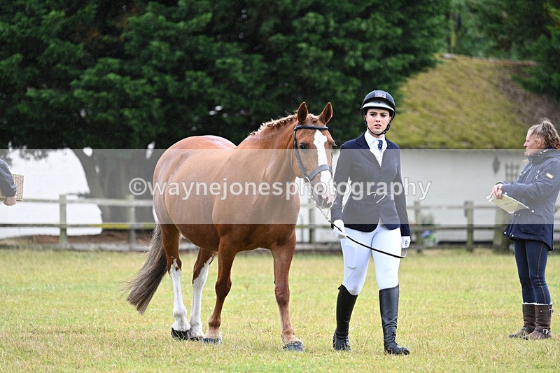 WJ7_5996 - Class 4a Prettiest Mare over 14hh