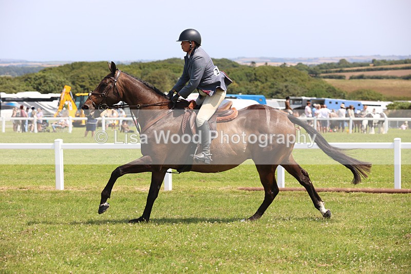 JPP_3282 - Class 22: Working Hunter 70cm