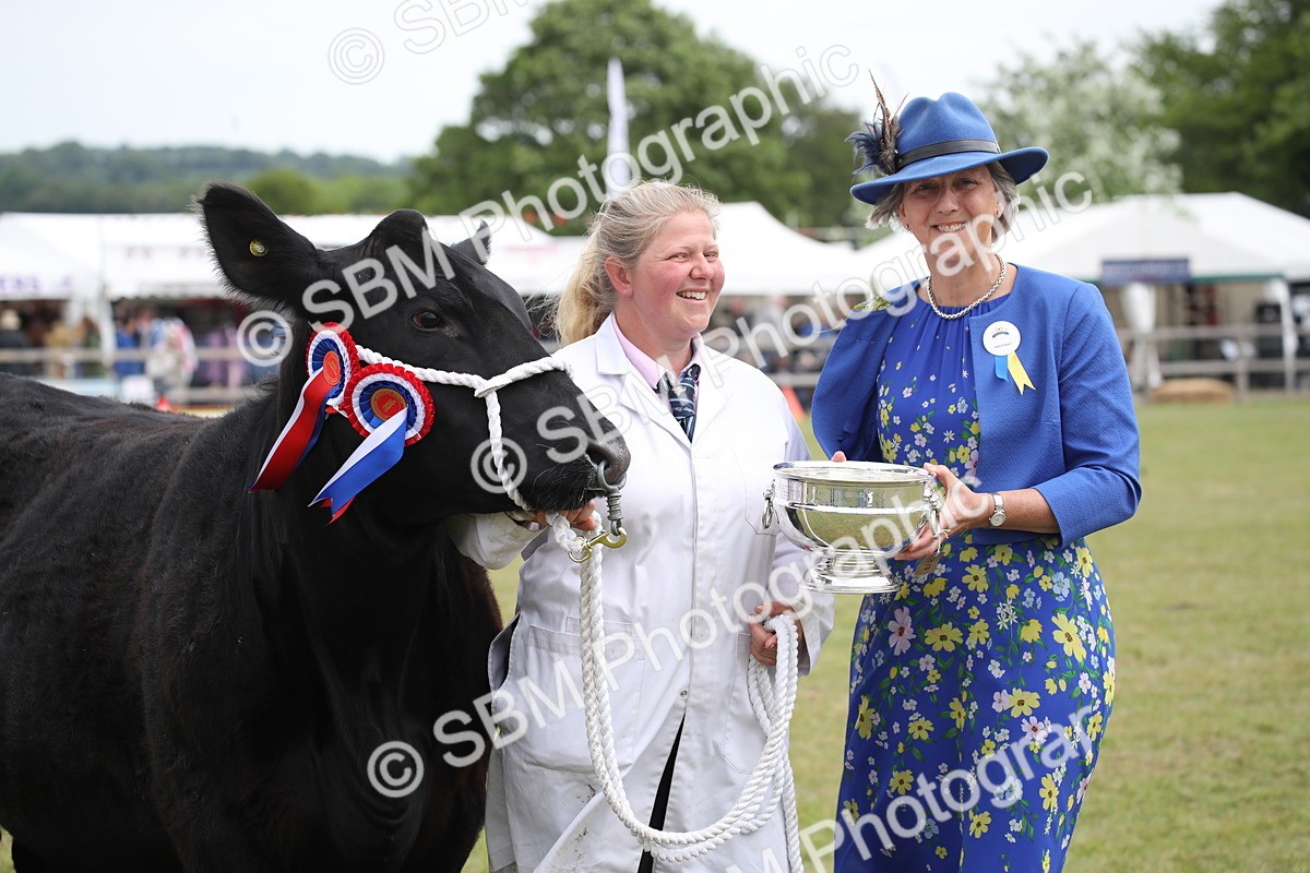 SBM_07948 - Grand Parade