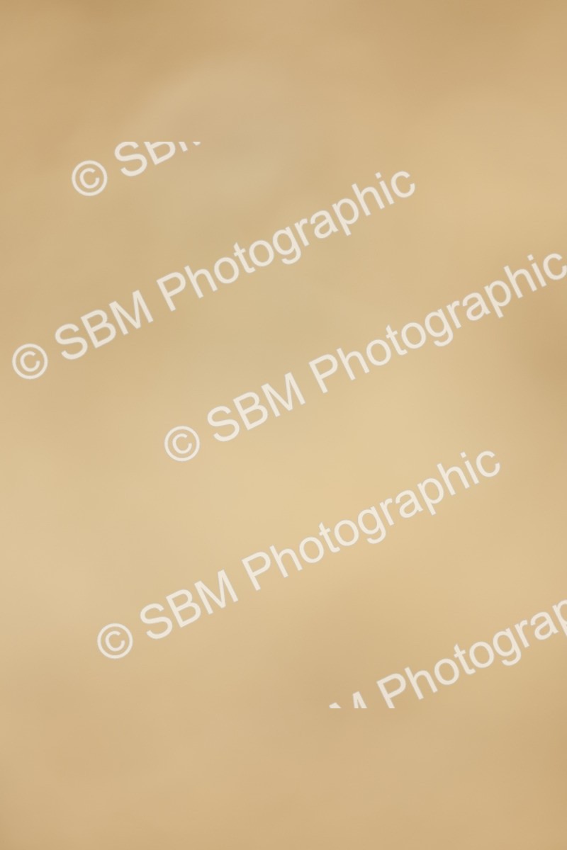 SBM_019489 - Class 21 - jump offs