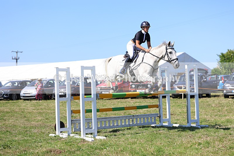 3E7A6366 - Class 13: Senior Newcomers/1.10m open