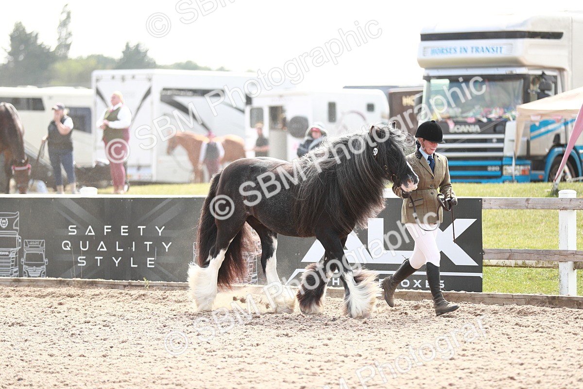 SBM_13864 - Class 209 IH Veteran Pony