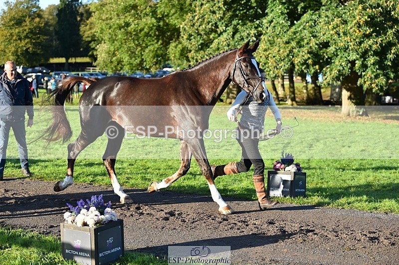 231022-092638-21790 - 690-JAZZ.QUARTET-Louise.Turner-smith-TrotUp+SJ