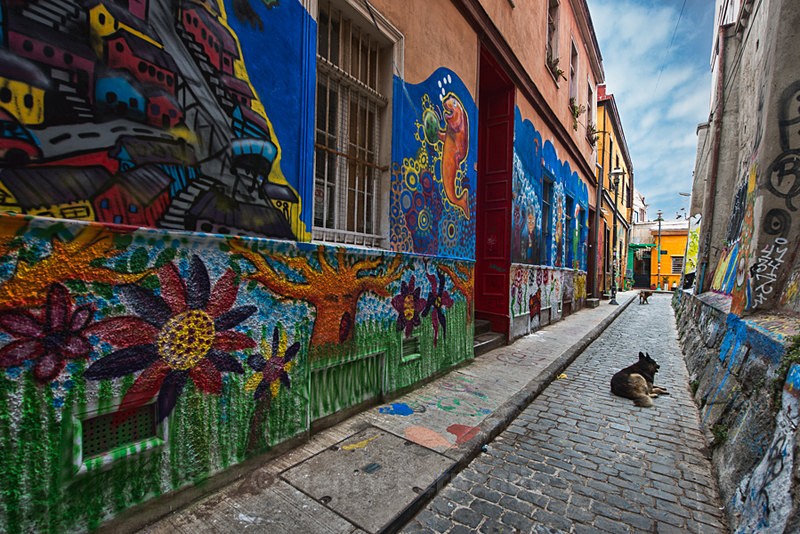  - Street Art & Stray Dogs - Valparaiso, Chile