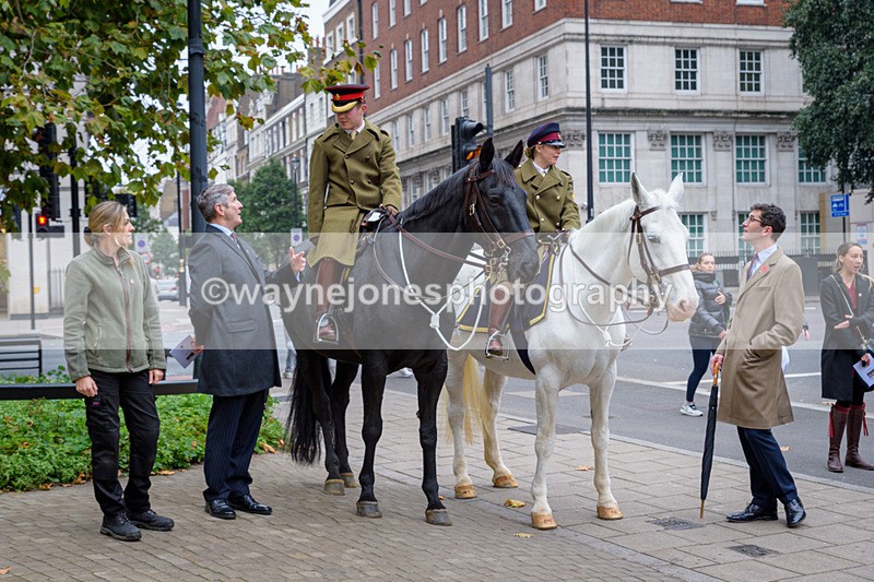 NGP_8187 - 2024 Animals in War Remembrance Gathering