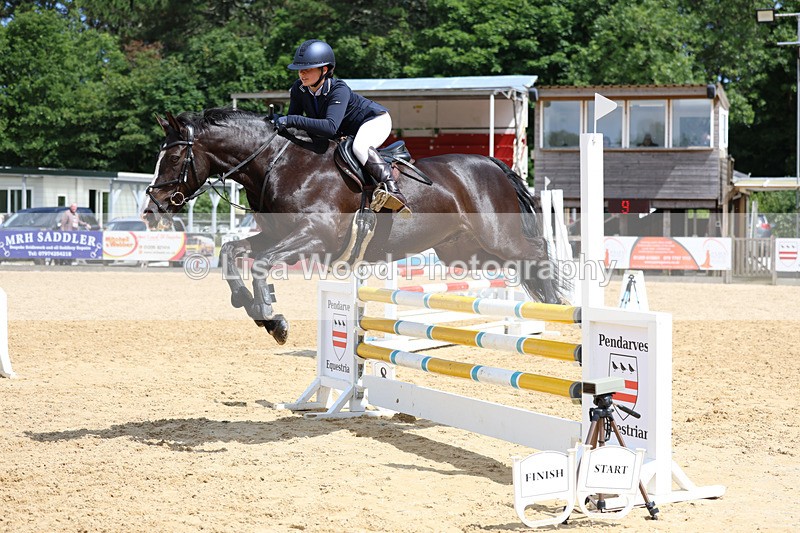 3E7A3147 - Class 4: Senior British Novice/90cm open
