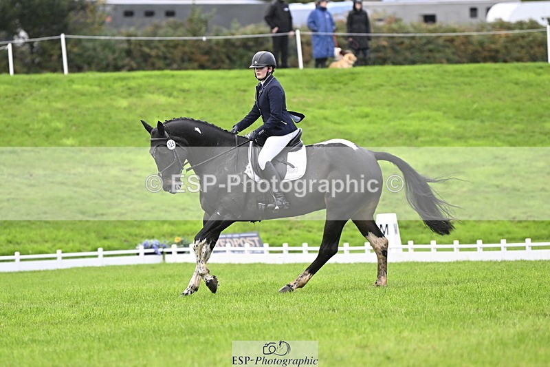 251023A-134753-04160 - D-325-Erin.Johnson