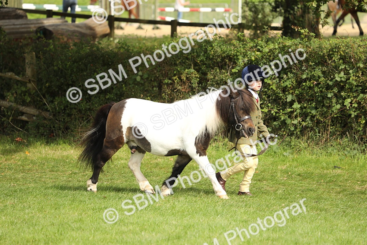 SBM_67700 - S39 - Junior Handler 8  Years & Under