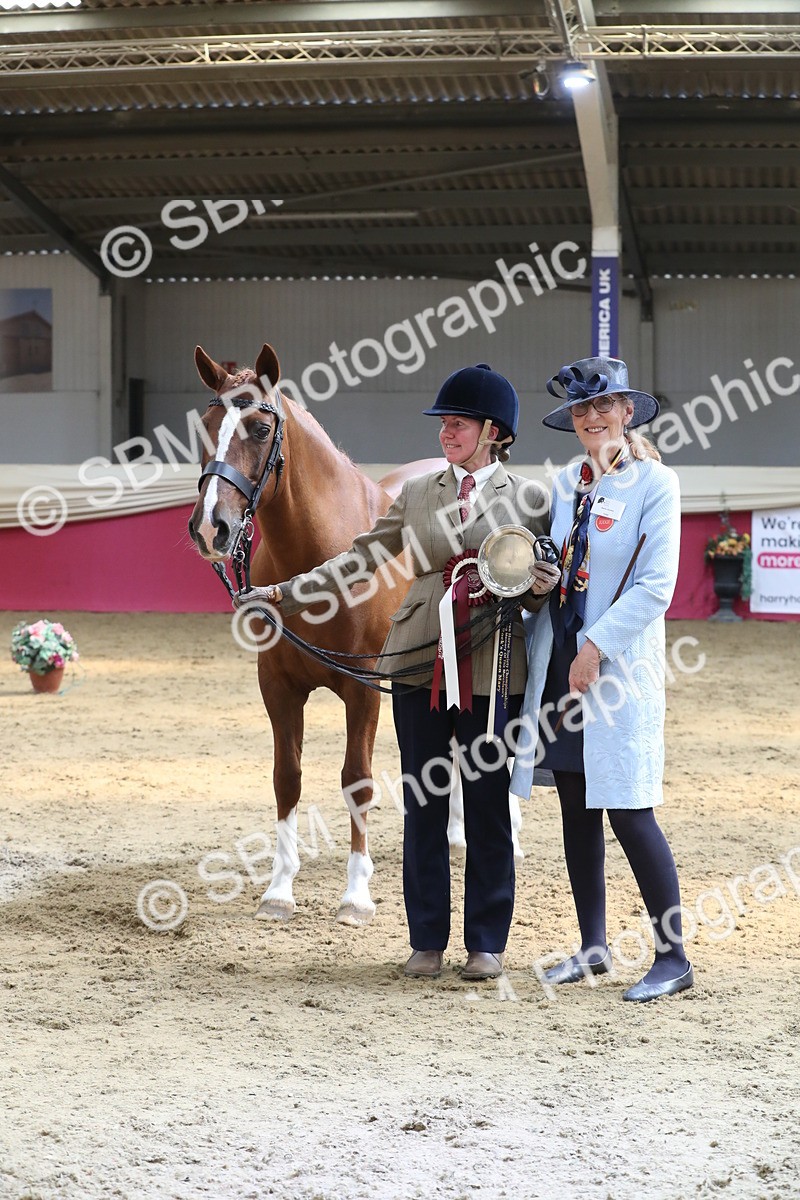 SBM_04457 - Class 7R Regional - IH Diamond