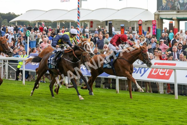 240823-Race 5-Sea Theme-5420 - Race 5 4.10pm British EBF & Sir Henry Cecil Galtres Stakes
