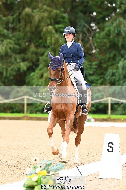 231020-153144-11852 - 213-MGH.HILDARE.HARLEQUIN-Danielle.Mccormack-DR