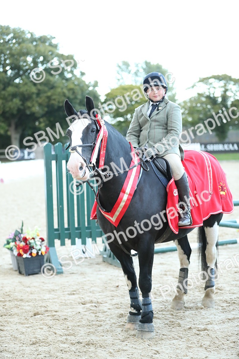 SBM_53737 - Supreme Championship 65cm 70cm