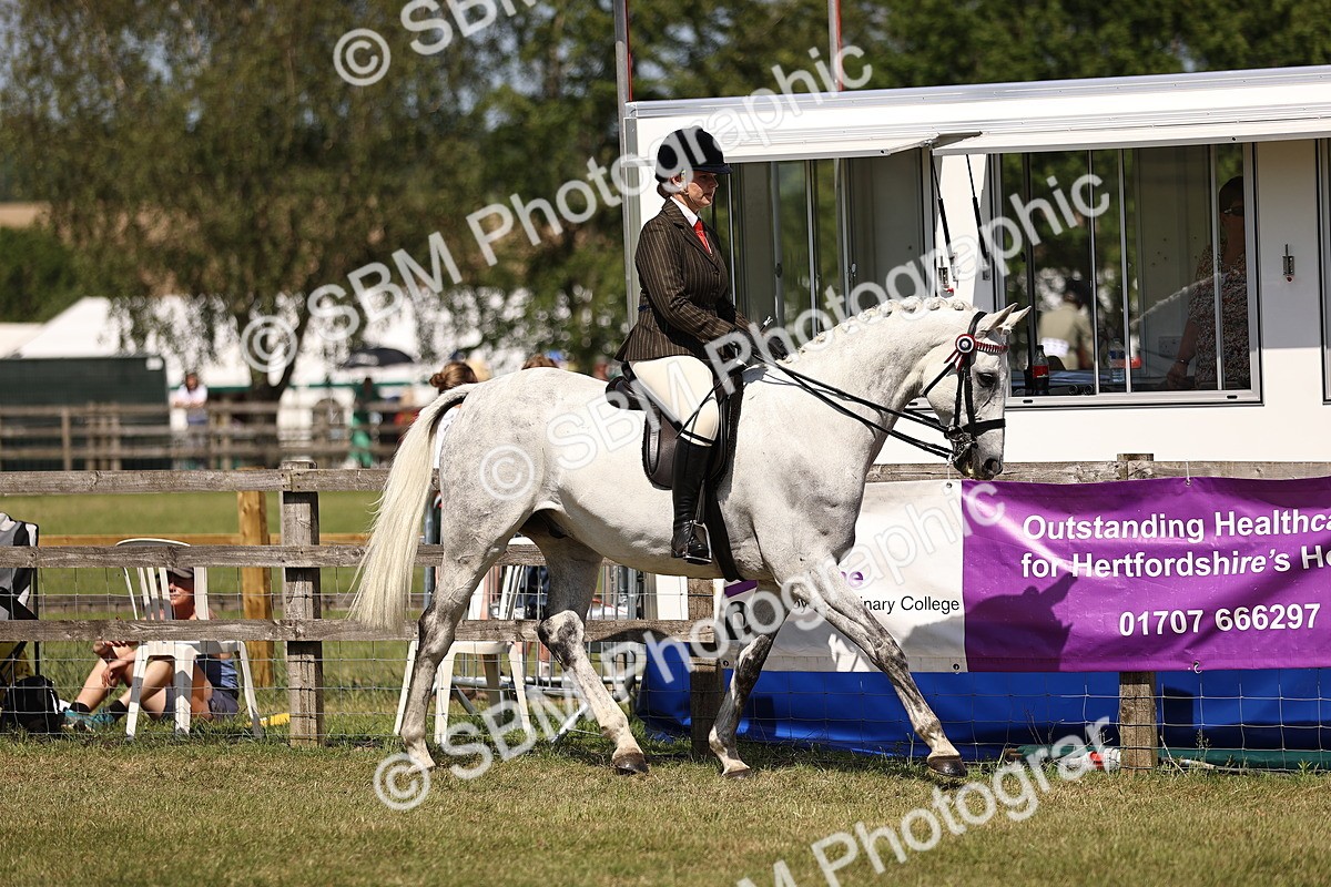 SBM_17983 - Class 81-83 - TSR Ridden Amateur of the Year - Horses