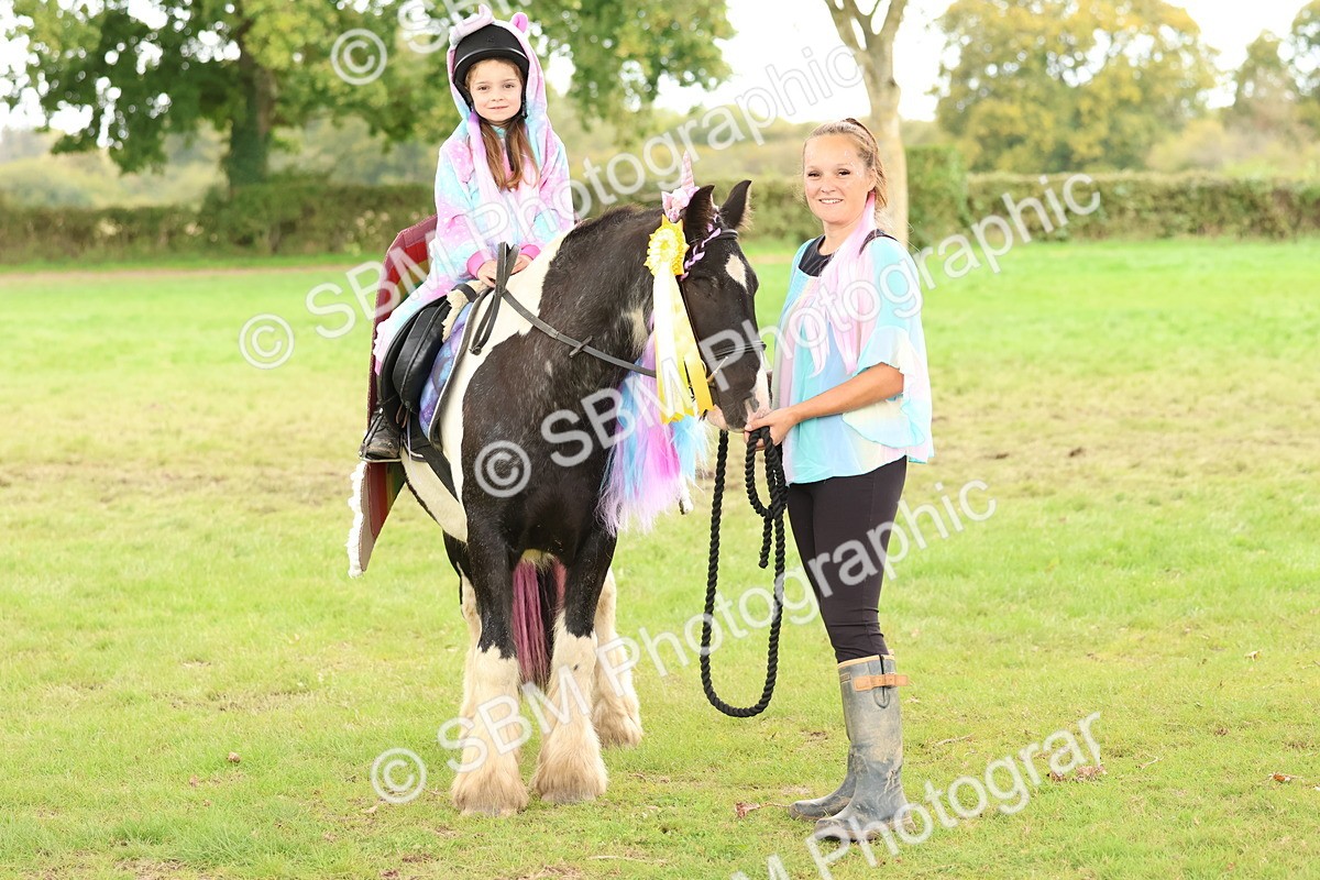 SBM_62235 - S37b - Best Unicorn