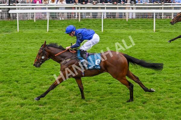 250524-Race 5-Burdett-3981 - Race 5 3.55pm William Hill Epic Boost Handicap