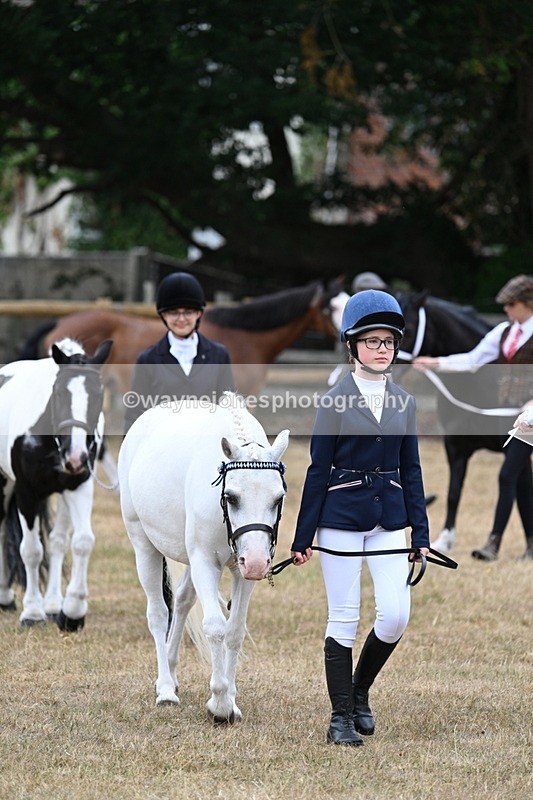 WJ7_8069 - Class 4 Prettiest Mare up to 14.2hh