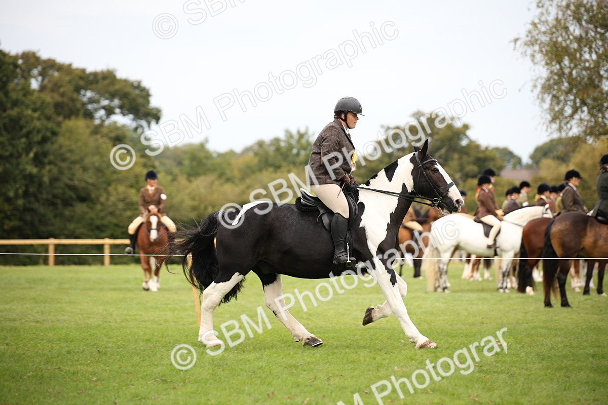 SBM_72419 - S67 - Show Cob Ridden