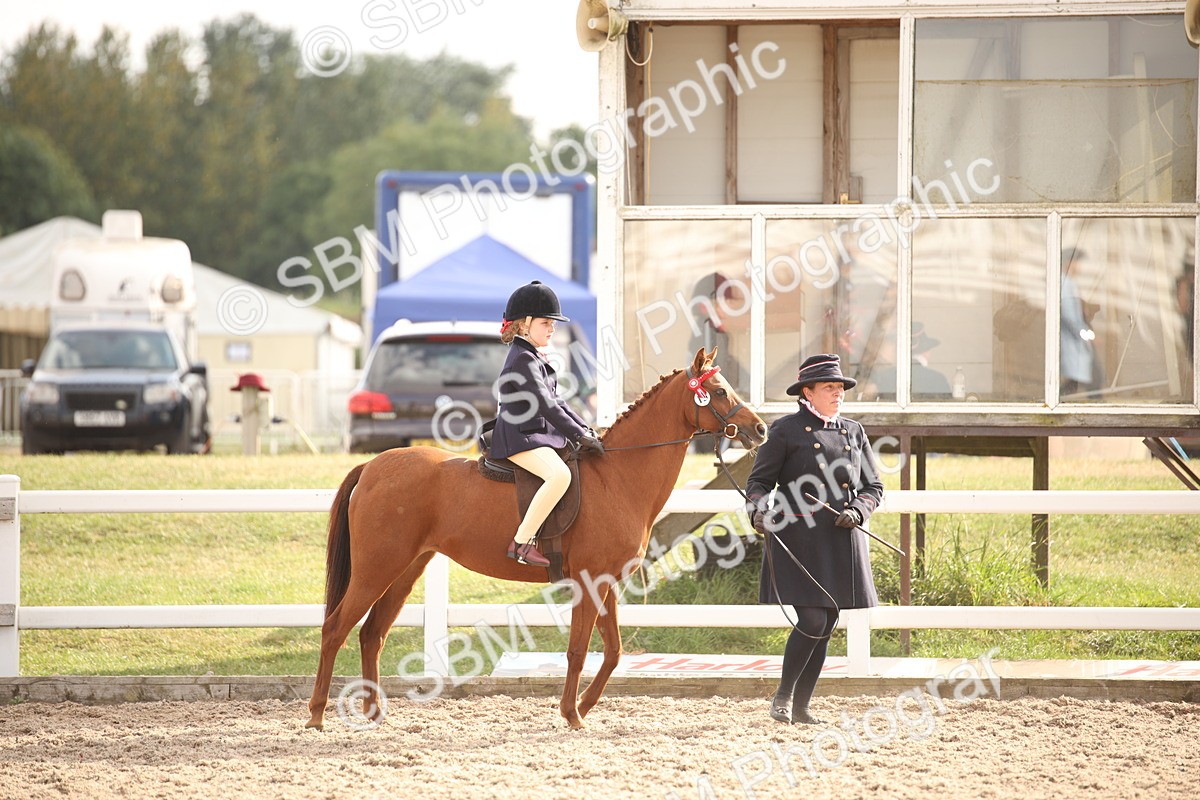 SBM_08800 - Class 12R Regional Ridden Pre-Vet