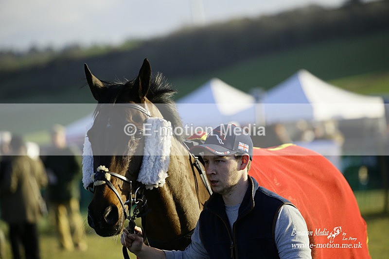 PtP 300122 675 - South Dorset Hunt - Point-to-Point Races 30/01/2022
