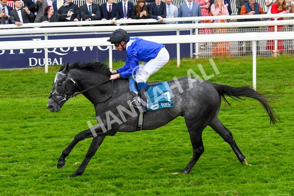 190523-Race 5-Mostabshir-0667 - Race 5 4.10pm Darley Novice Stakes