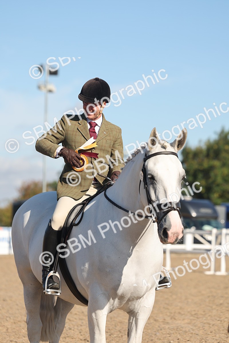 SBM_12255 - Class 303 - Ridden Pure Bred Horse Pony