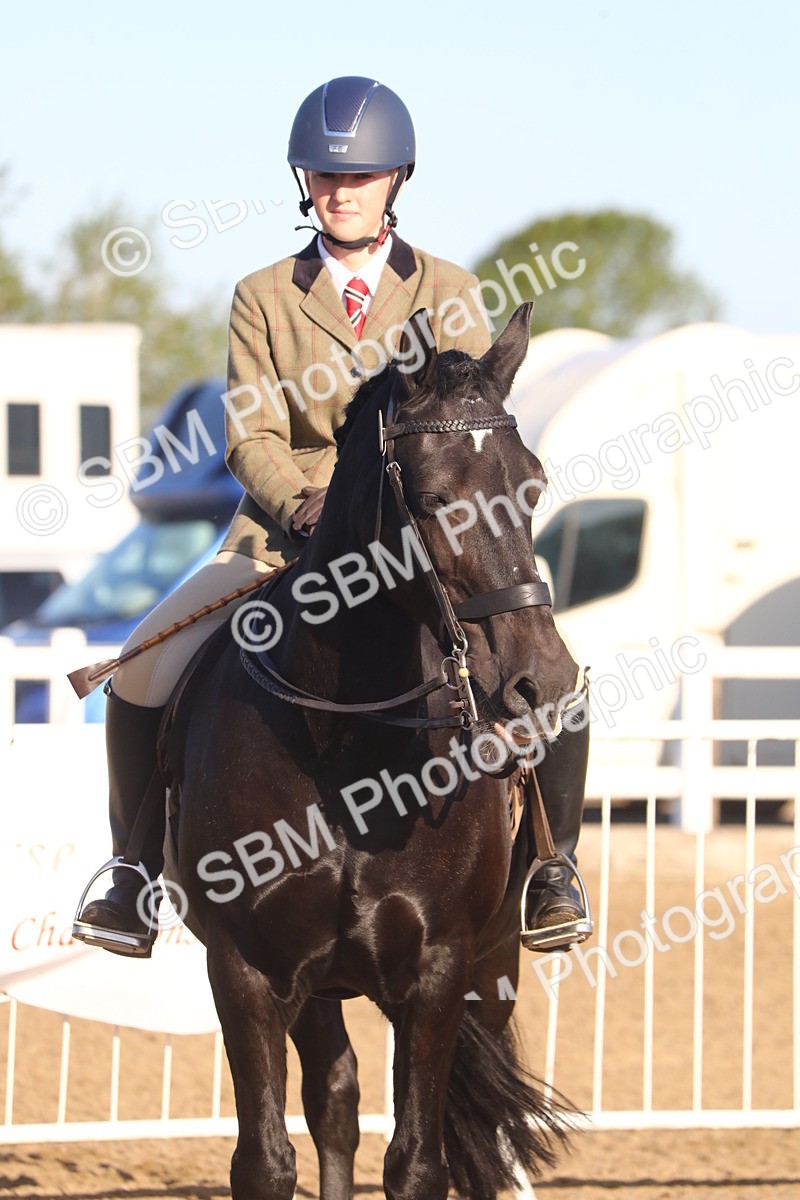 SBM_07889 - Class 501 - Riding Club Pony