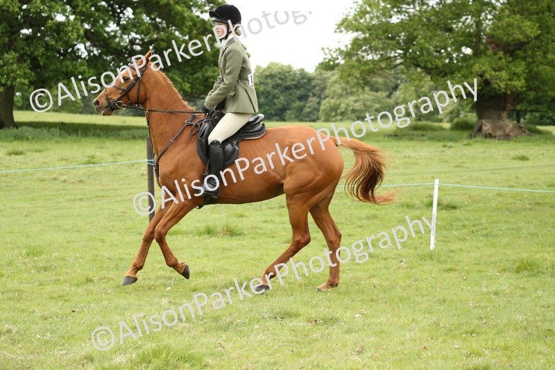 20250517-1500 - Class 22 - Open Working Hunter