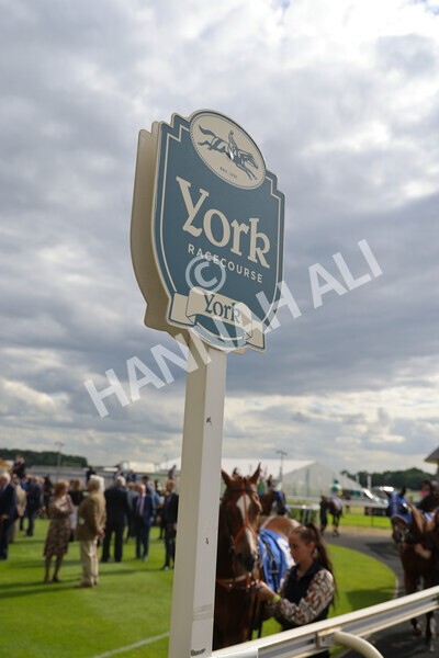 yr11062022r8-3 - Race 8 5.25pm Clean up with PPS Stakes