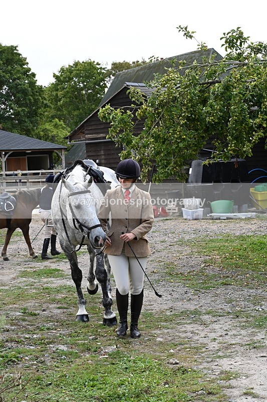 WJ6_3094 - Berks & Bucks - The Old farmhouse - Hound Exercise 20-08-25