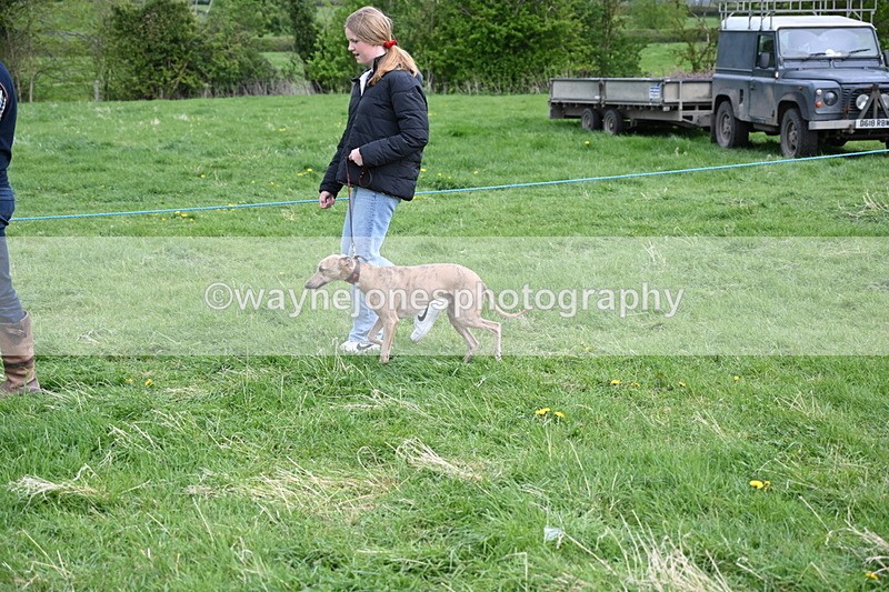 WJ6_8110 - Class 2 Best Pedigree