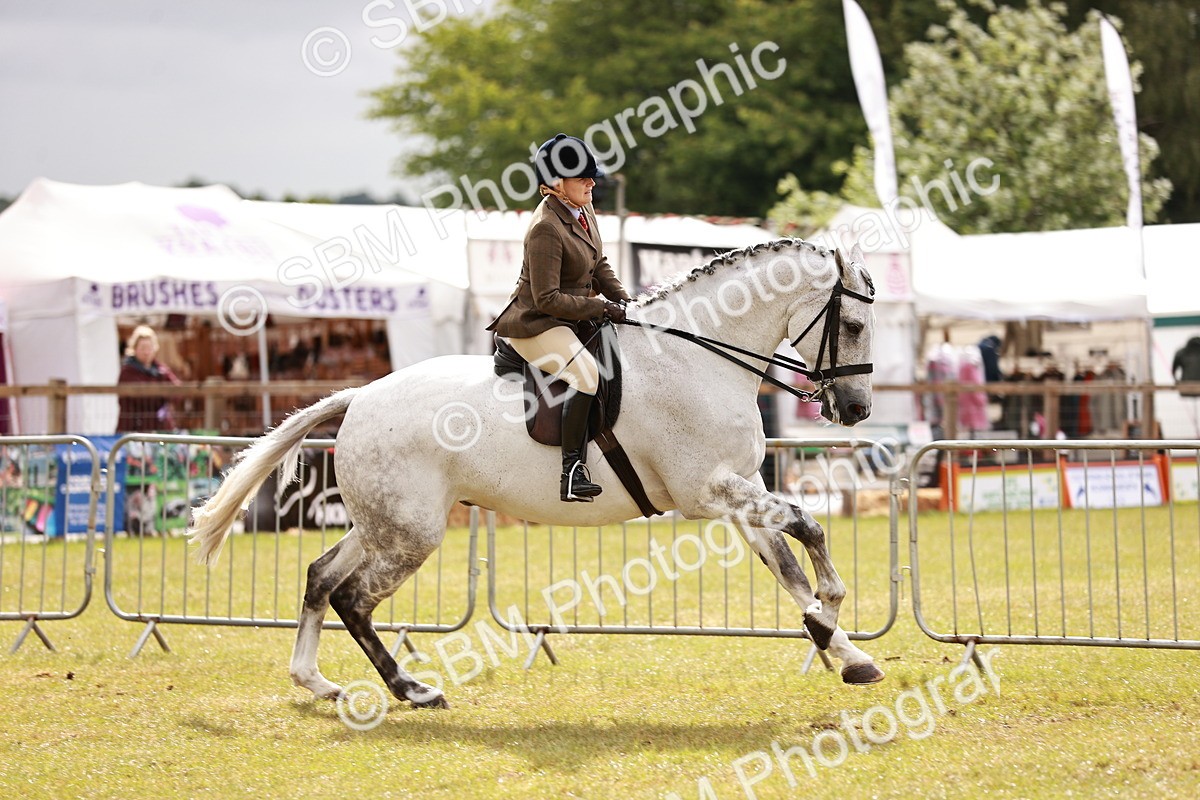 SBM_11571 - Class 81-84 - RIHS Ridden hunters Inc Ladies Hunter