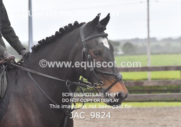 JAC_9824 - CLASS 2 Novice Working Hunter (0.60m - 0.70m)