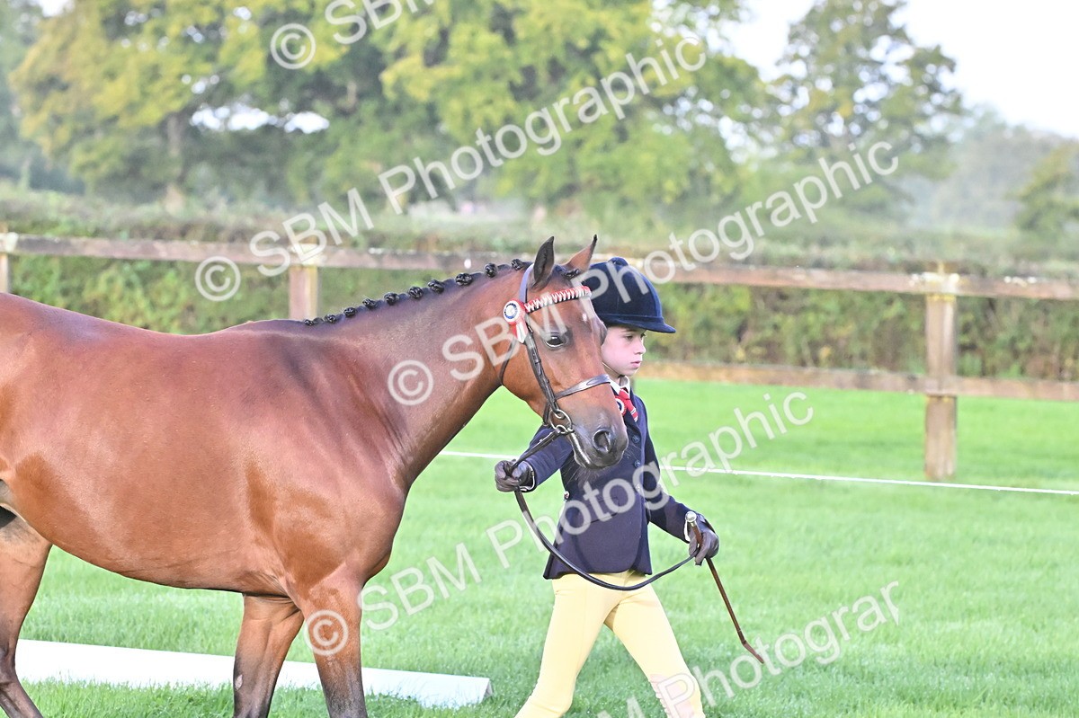 SBM_32560 - S15 - Top Turnout In Hand